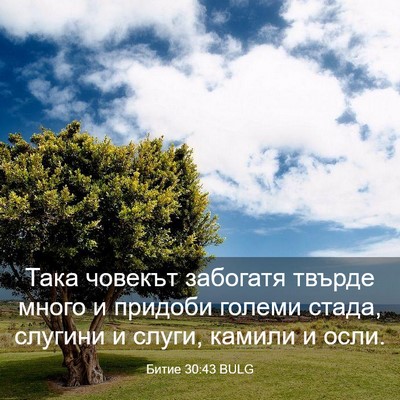 Picture 03 - Битие 30:43 BULG - Така човекът забогатя - Bible Verse Picture
