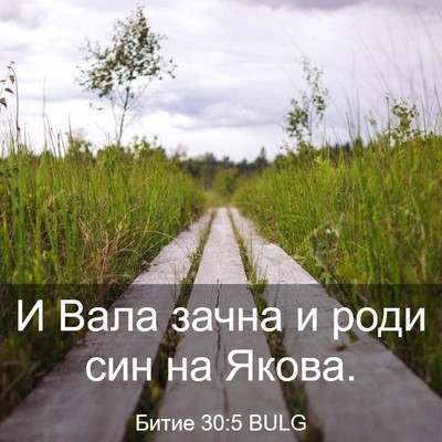 Picture 03 - Битие 30:5 BULG - И Вала зачна и роди син на - Bible Verse Picture