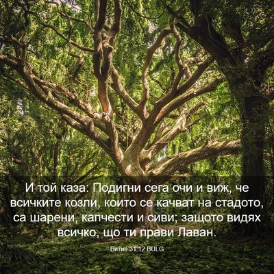 Picture 03 - Битие 31:12 BULG - И той каза: Подигни сега - Bible Verse Picture