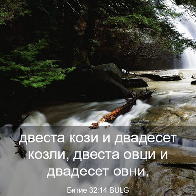 Picture 03 - Битие 32:14 BULG - двеста кози и двадесет - Bible Verse Picture