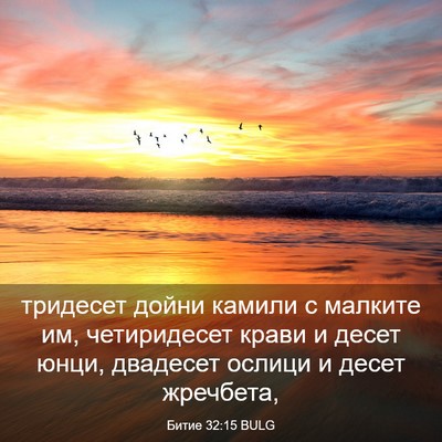 Picture 03 - Битие 32:15 BULG - тридесет дойни камили с - Bible Verse Picture