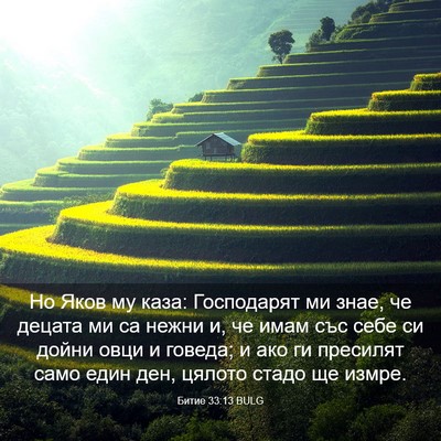 Picture 03 - Битие 33:13 BULG - Но Яков му каза: Господарят - Bible Verse Picture