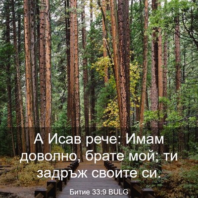 Picture 03 - Битие 33:9 BULG - А Исав рече: Имам доволно, - Bible Verse Picture