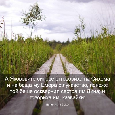 Picture 03 - Битие 34:13 BULG - А Якововите синове - Bible Verse Picture
