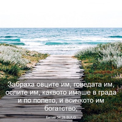 Picture 03 - Битие 34:28 BULG - Забраха овците им, - Bible Verse Picture