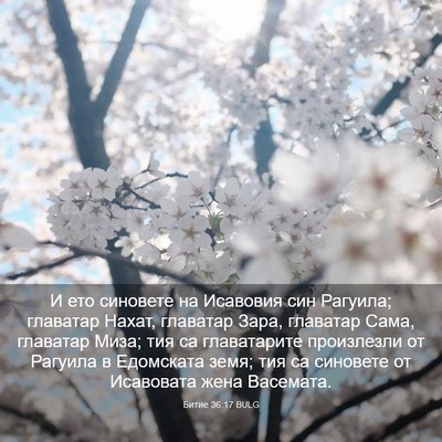 Picture 03 - Битие 36:17 BULG - И ето синовете на Исавовия - Bible Verse Picture