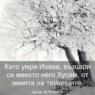 Picture 03 - Битие 36:34 BULG - Като умря Иовав, възцари се - Bible Verse Picture