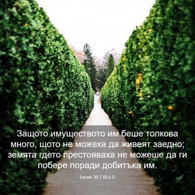 Picture 03 - Битие 36:7 BULG - Защото имуществото им беше - Bible Verse Picture