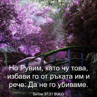 Picture 03 - Битие 37:21 BULG - Но Рувим, като чу това, - Bible Verse Picture