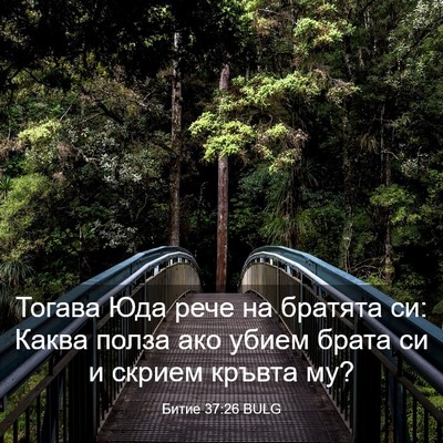 Picture 03 - Битие 37:26 BULG - Тогава Юда рече на братята - Bible Verse Picture