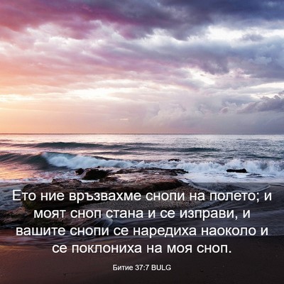 Picture 03 - Битие 37:7 BULG - Ето ние връзвахме снопи на - Bible Verse Picture