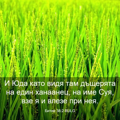 Picture 03 - Битие 38:2 BULG - И Юда като видя там - Bible Verse Picture