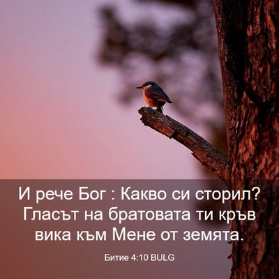 Picture 03 - Битие 4:10 BULG - И рече Бог : Какво си - Bible Verse Picture