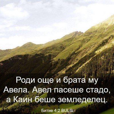 Picture 03 - Битие 4:2 BULG - Роди още и брата му Авела. - Bible Verse Picture