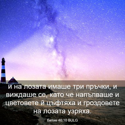 Picture 03 - Битие 40:10 BULG - и на лозата имаше три - Bible Verse Picture