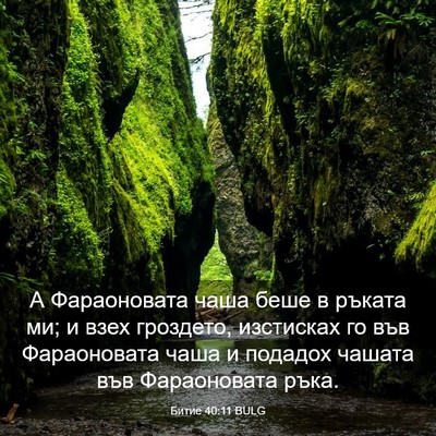 Picture 03 - Битие 40:11 BULG - А Фараоновата чаша беше в - Bible Verse Picture