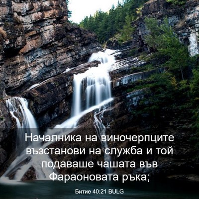 Picture 03 - Битие 40:21 BULG - Началника на виночерпците - Bible Verse Picture