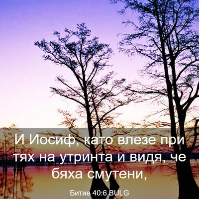 Picture 03 - Битие 40:6 BULG - И Иосиф, като влезе при тях - Bible Verse Picture