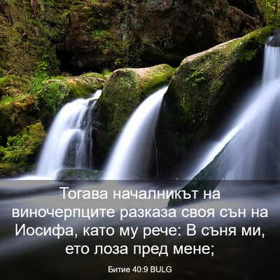 Picture 03 - Битие 40:9 BULG - Тогава началникът на - Bible Verse Picture