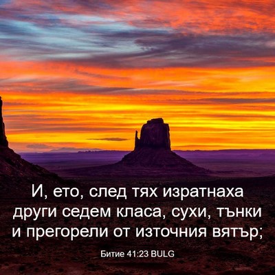 Picture 03 - Битие 41:23 BULG - И, ето, след тях изратнаха - Bible Verse Picture