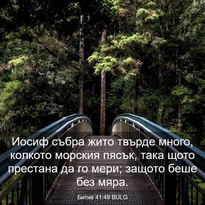 Picture 03 - Битие 41:49 BULG - Иосиф събра жито твърде - Bible Verse Picture