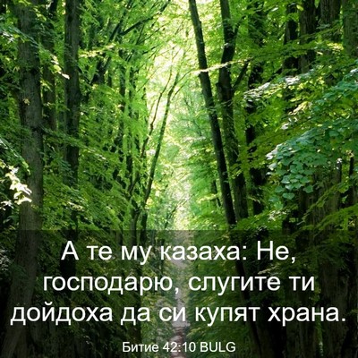 Picture 03 - Битие 42:10 BULG - А те му казаха: Не, - Bible Verse Picture