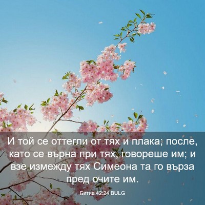 Picture 03 - Битие 42:24 BULG - И той се оттегли от тях и - Bible Verse Picture