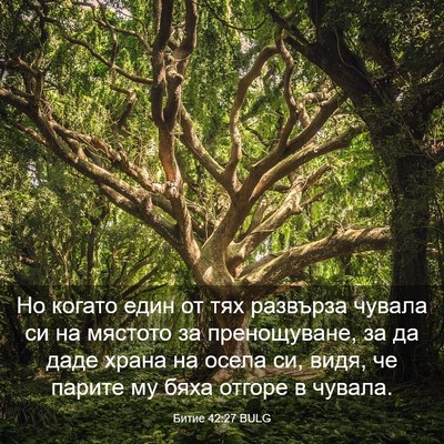 Picture 03 - Битие 42:27 BULG - Но когато един от тях - Bible Verse Picture