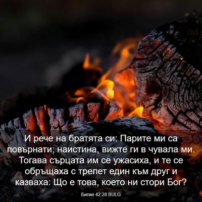 Picture 03 - Битие 42:28 BULG - И рече на братята си: - Bible Verse Picture