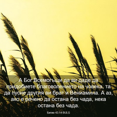 Picture 03 - Битие 43:14 BULG - А Бог Всемогъщи да ви даде - Bible Verse Picture