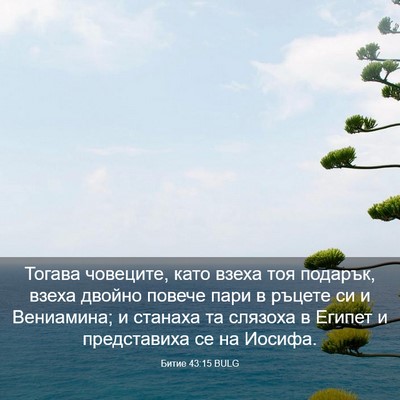 Picture 03 - Битие 43:15 BULG - Тогава човеците, като - Bible Verse Picture