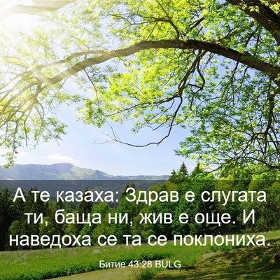 Picture 03 - Битие 43:28 BULG - А те казаха: Здрав е - Bible Verse Picture