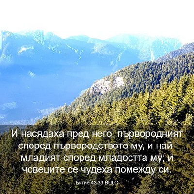 Picture 03 - Битие 43:33 BULG - И насядаха пред него, - Bible Verse Picture