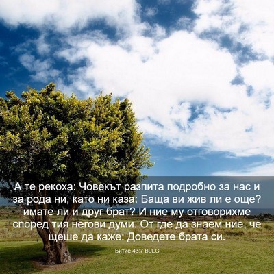 Picture 03 - Битие 43:7 BULG - А те рекоха: Човекът - Bible Verse Picture