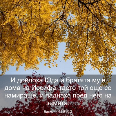 Picture 03 - Битие 44:14 BULG - И дойдоха Юда и братята му - Bible Verse Picture