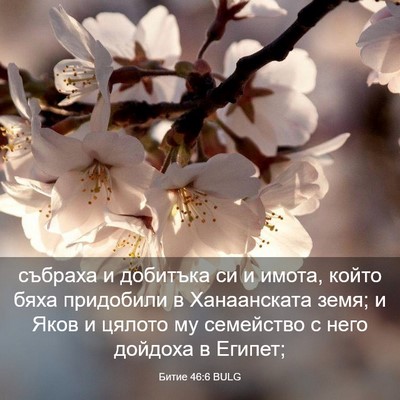 Picture 03 - Битие 46:6 BULG - събраха и добитъка си и - Bible Verse Picture