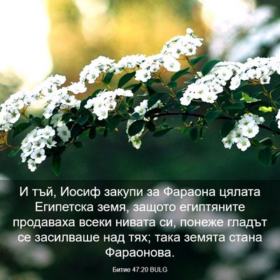Picture 03 - Битие 47:20 BULG - И тъй, Иосиф закупи за - Bible Verse Picture