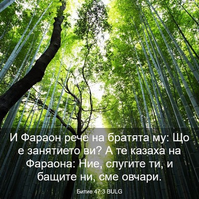 Picture 03 - Битие 47:3 BULG - И Фараон рече на братята - Bible Verse Picture