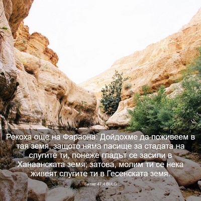 Picture 03 - Битие 47:4 BULG - Рекоха още на Фараона: - Bible Verse Picture