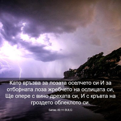 Picture 03 - Битие 49:11 BULG - Като връзва за лозата - Bible Verse Picture