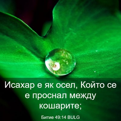 Picture 03 - Битие 49:14 BULG - Исахар е як осел, Който се е - Bible Verse Picture