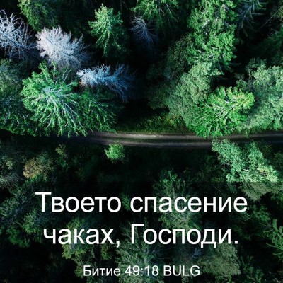 Picture 03 - Битие 49:18 BULG - Твоето спасение чаках, - Bible Verse Picture