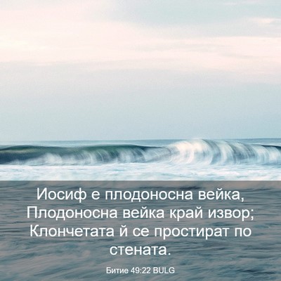 Picture 03 - Битие 49:22 BULG - Иосиф е плодоносна вейка, - Bible Verse Picture