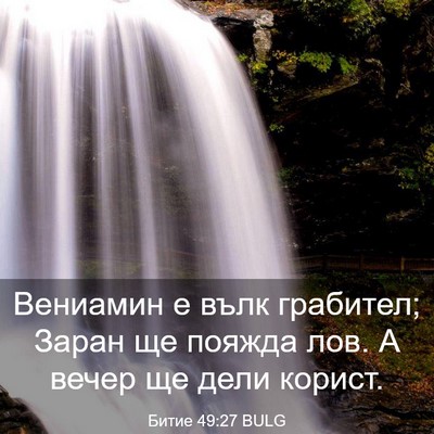 Picture 03 - Битие 49:27 BULG - Вениамин е вълк грабител; - Bible Verse Picture