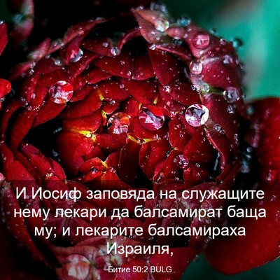 Picture 03 - Битие 50:2 BULG - И Иосиф заповяда на - Bible Verse Picture