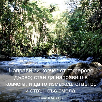 Picture 03 - Битие 6:14 BULG - Направи си ковчег от - Bible Verse Picture