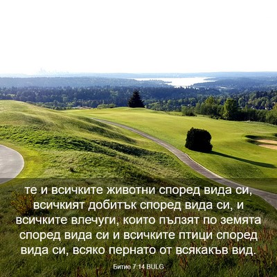 Picture 03 - Битие 7:14 BULG - те и всичките животни - Bible Verse Picture