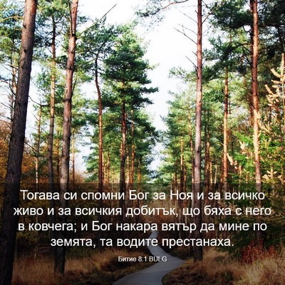 Picture 03 - Битие 8:1 BULG - Тогава си спомни Бог за Ноя - Bible Verse Picture