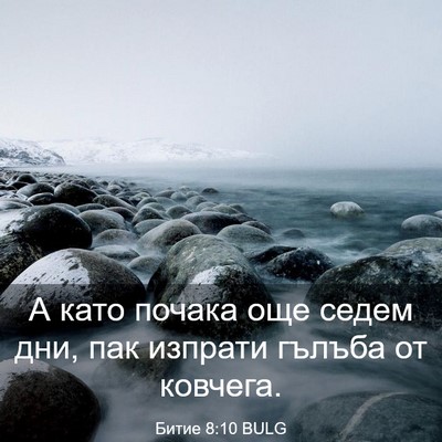 Picture 03 - Битие 8:10 BULG - А като почака още седем - Bible Verse Picture