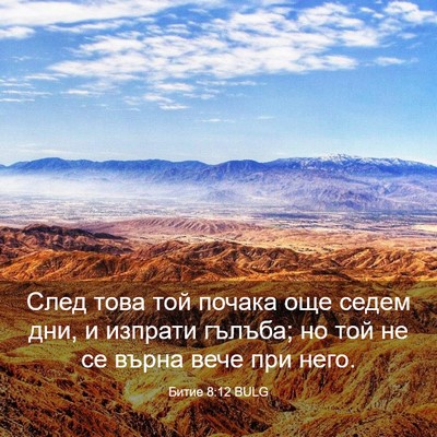 Picture 03 - Битие 8:12 BULG - След това той почака още - Bible Verse Picture